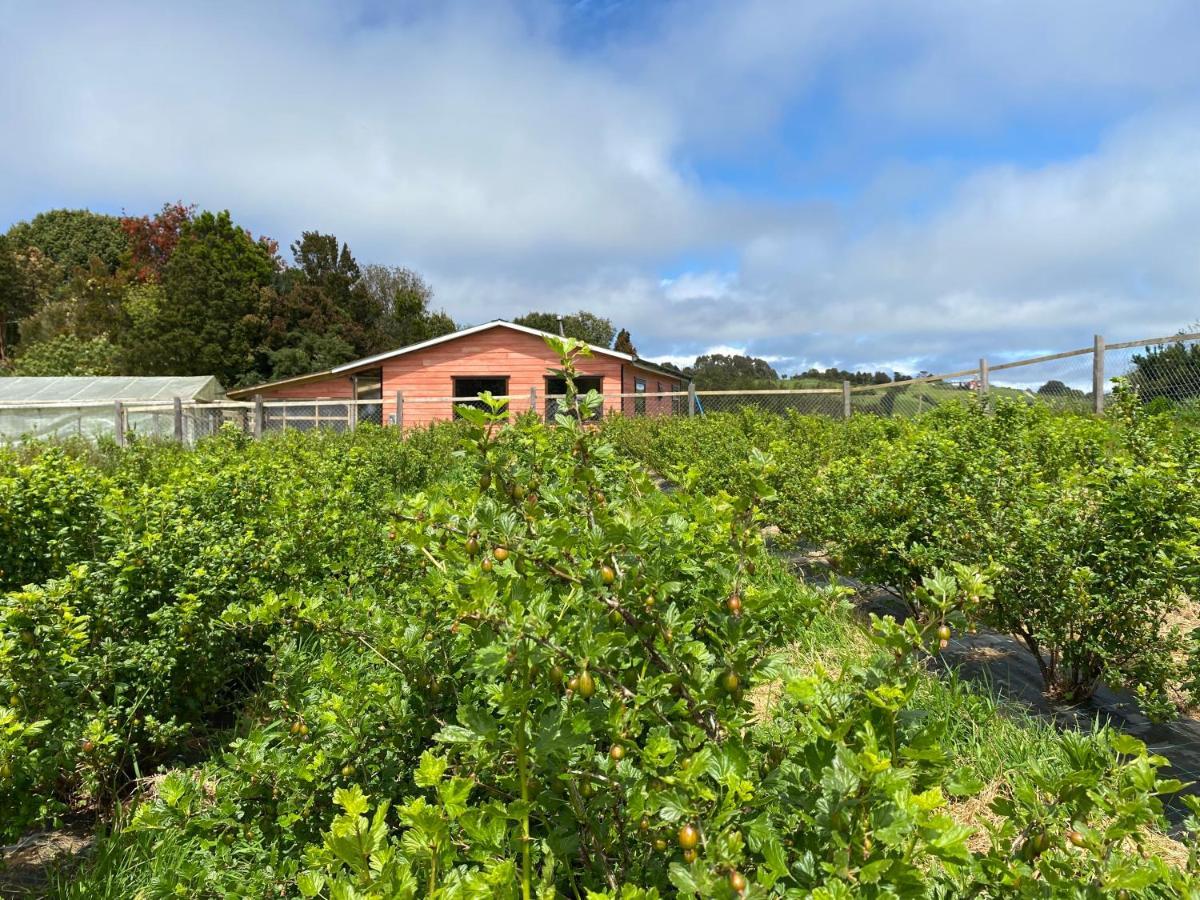 Cabana Nueva En Ancud Chiloe Екстер'єр фото